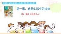 小学政治思品人教部编版六年级上册(道德与法治)1 感受生活中的法律教课内容ppt课件