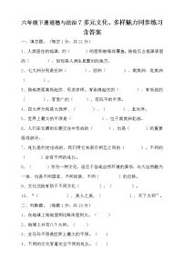 政治思品六年级下册(道德与法治)7 多元文化 多样魅力当堂达标检测题
