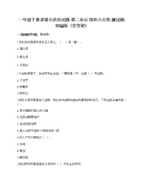 小学政治思品人教部编版一年级下册（道德与法治）第二单元 我和大自然综合与测试课时作业