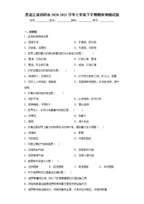 黑龙江省讷河市2020-2021学年七年级下学期期末地理试题(word版 含答案)