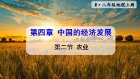 初中地理人教版 (新课标)八年级上册第二节 农业课前预习ppt课件