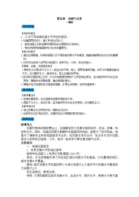 人教版 (新课标)七年级上册发展与合作教案