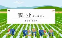 2021学年第四章 中国的经济发展第二节 农业获奖ppt课件