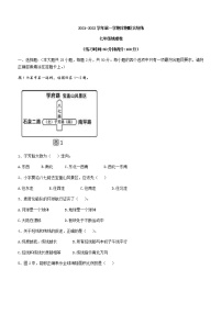 福建省龙岩市上杭县东路片区2021-2022学年七年级上学期半期联合统练地理试题（word版 含答案）