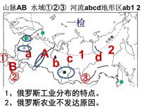 商务星球版地理七年级下册《印度》复习课件