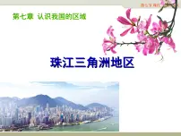初中地理中图版七年级下册第七节 珠江三角洲地区示范课课件ppt