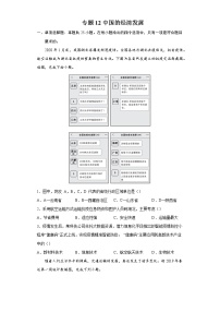 专题12中国的经济发展-备战2022年中考地理二轮复习题型专练