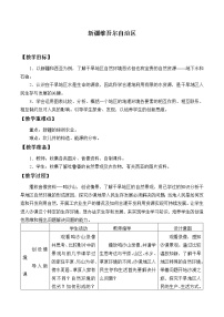 2021学年第二节 新疆维吾尔自治区教案