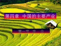 初中地理湘教版八年级上册第一节   农业课文课件ppt