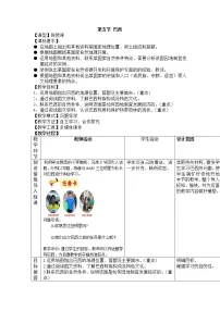初中地理商务星球版七年级下册第五节 巴西教学设计