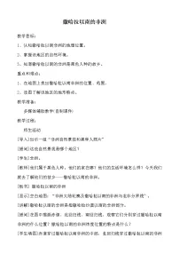 人教版 (新课标)七年级下册第三节 撒哈拉以南的非洲教学设计