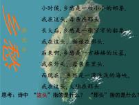 初中地理湘教版八年级下册第二节 台湾省的地理环境与经济发展评课ppt课件