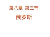 粤教版七年级下册第三节 俄罗斯图片课件ppt