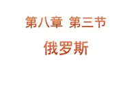 粤教版七年级下册第三节 俄罗斯图片课件ppt