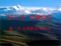 人教版 (新课标)八年级下册第一节 自然特征与农业课堂教学课件ppt
