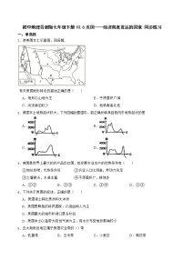 晋教版七年级下册10.6美国——移民为主的国家课时训练