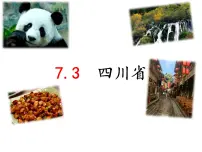 中图版七年级下册第三节 四川省备课课件ppt