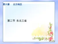 初中地理商务星球版八年级下册第二节 东北三省教课内容ppt课件