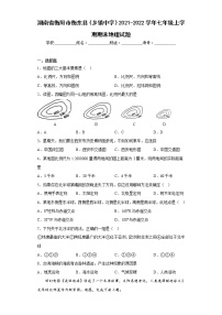 湖南省衡阳市衡东县（乡镇中学）2021-2022学年七年级上学期期末地理试题(含答案)