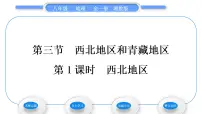 地理第三节 西北地区和青藏地区习题课件ppt