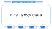 商务星球版八年级上册第三节 合理发展交通运输习题课件ppt