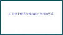 初中地理第三节 新疆维吾尔自治区的地理概况与区域开发教学演示ppt课件