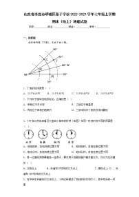 山东省枣庄市峄城区荀子学校2022-2023学年七年级上学期期末（线上）地理试题(含答案)