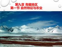 人教版 (新课标)八年级下册第一节 自然特征与农业教学课件ppt