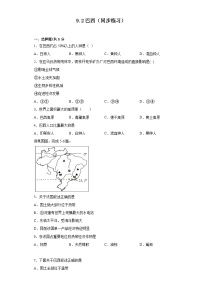 人教版 (新课标)七年级下册第九章 西半球的国家第二节 巴西当堂达标检测题
