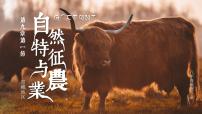 初中地理人教版 (新课标)八年级下册第二节 高原湿地——三江源地区精品ppt课件