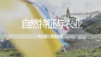 人教版 (新课标)八年级下册第一节 自然特征与农业教学课件ppt