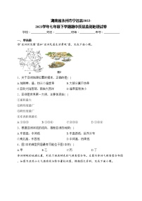 湖南省永州市宁远县2022-2023学年七年级下学期期中质量监测地理试卷(含答案)