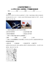 山东省济南市钢城区2022-2023学年七年级（五四学制）下学期期中地理试卷(含答案)