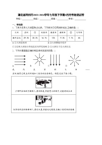 湖北省荆州市2023-2024学年七年级下学期3月月考地理试卷(含答案)