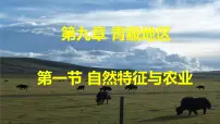初中地理人教版 (新课标)八年级下册第一节 自然特征与农业教学课件ppt