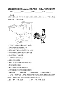 湖南省邵阳市邵东市2024-2025学年八年级上学期10月月考地理试卷(含答案)