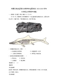 内蒙古自治区鄂尔多斯市伊金霍洛旗2023-2024学年七年级上学期期中地理试题（解析版）