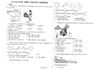 天津市汉阳道中学2024-2025学年八年级上学期期中考试地理试卷