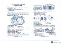 山东省泰安市肥城市2024-2025学年七年级（五四学制）上学期期中考试地理试题