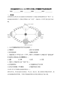 河北省廊坊市2024-2025学年七年级上学期期中考试地理试卷(含答案)