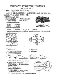 河北省衡水市桃城区2024-2025学年七年级上学期期中考试地理试卷