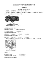 河北省衡水市桃城区2024-2025学年七年级上学期期中考试地理试卷
