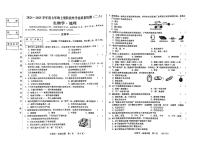 吉林省吉林市船营区第二十三中学2024-2025学年七年级上学期11月期中地理•生物试题