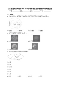 山东省德州市禹城市2024-2025学年七年级上学期期中考试地理试卷(含答案)