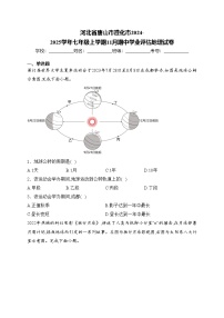 河北省唐山市遵化市2024-2025学年七年级上学期11月期中学业评估地理试卷(含答案)