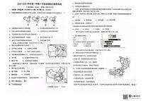 山东省枣庄市薛城区2024-2025学年八年级上学期12月月考地理试卷