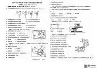 山东省枣庄市薛城区2024-2025学年八年级上学期12月月考地理试卷
