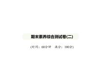 期末素养综合测试卷(二)  习题课件-七年级地理下学期湘教版（2024）