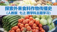初中地理人教版（2024）七年级上册(2024)【跨学科主题学习】探索外来食料作物传播史教课内容ppt课件