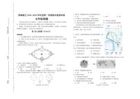 天津市滨海新区2024-2025学年七年级上学期期末考试地理试题